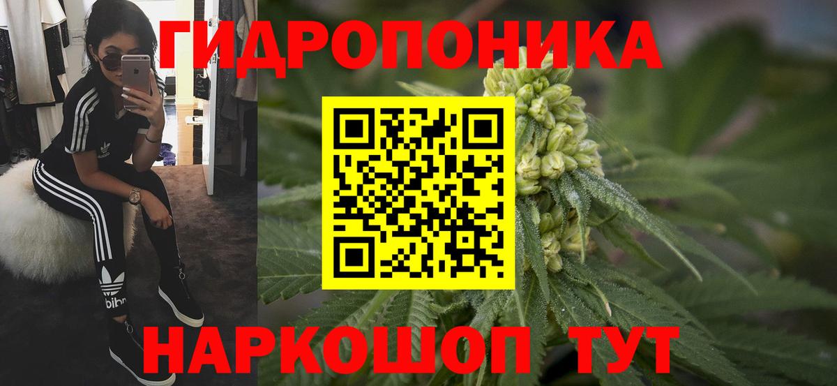Александров  МАРИХУАНА OG Kush  Вход с VPN  МАРИХУАНА MAZAR 